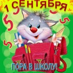 котик портфельs